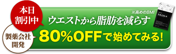 本日割引中 ウエストから脂肪を減らす 80%OFFで始めてみる!